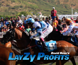 LayZy Profits Tipster