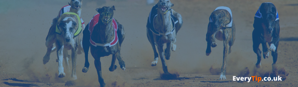 greyhound racing sites- Everytip.co.uk